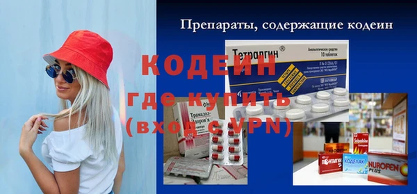 индика Гусев