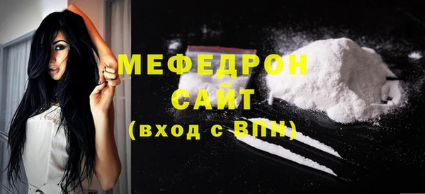 индика Гусев
