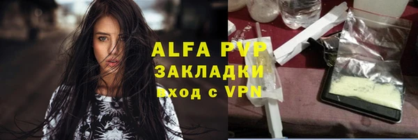 индика Гусев