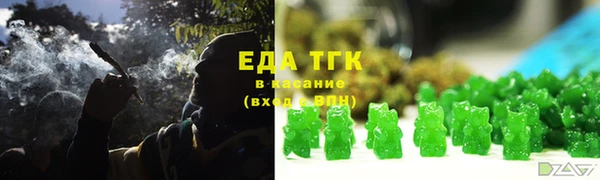 индика Гусев