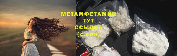индика Гусев