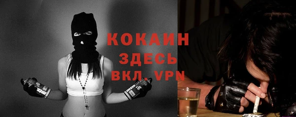 индика Гусев