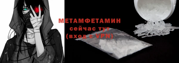 индика Гусев