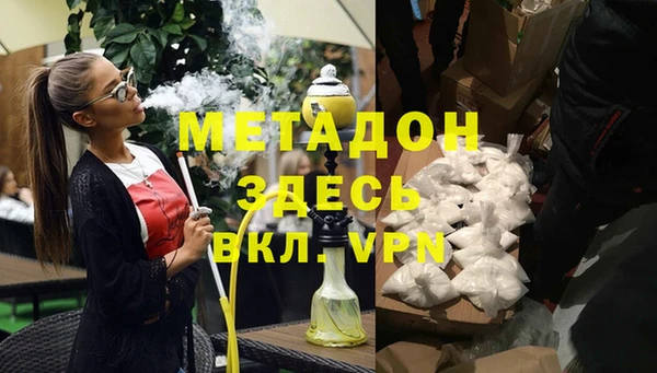 индика Гусев