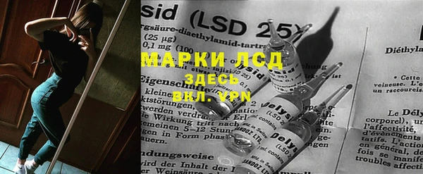 индика Гусев