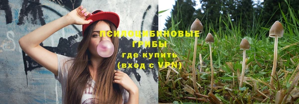 индика Гусев