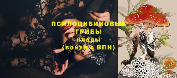 индика Гусев