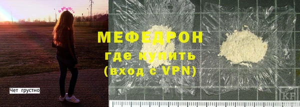 индика Гусев