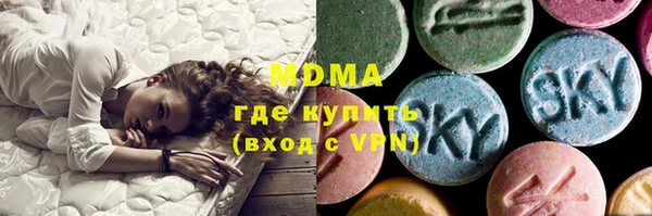 индика Гусев
