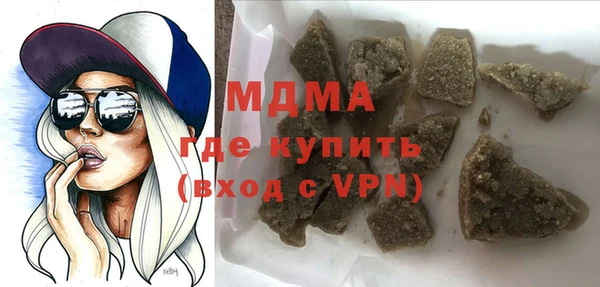 индика Гусев
