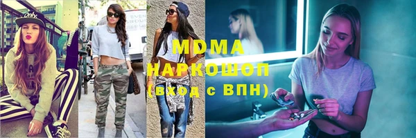 индика Гусев