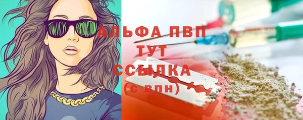 индика Гусев